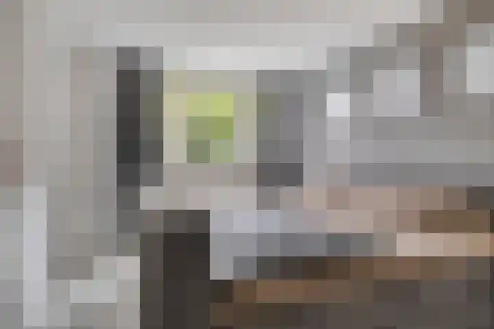 Nomadenkreek 16 Spijkenisse thumbnail 21
