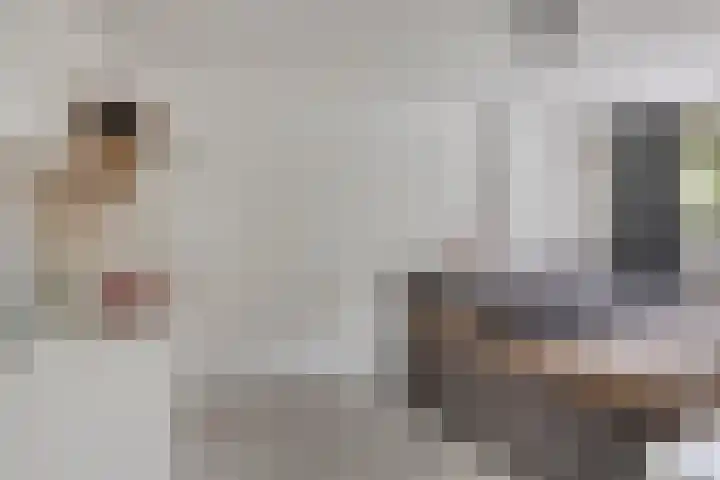 Nomadenkreek 16 Spijkenisse thumbnail 22