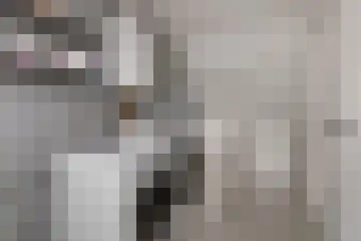 Nomadenkreek 16 Spijkenisse thumbnail 27