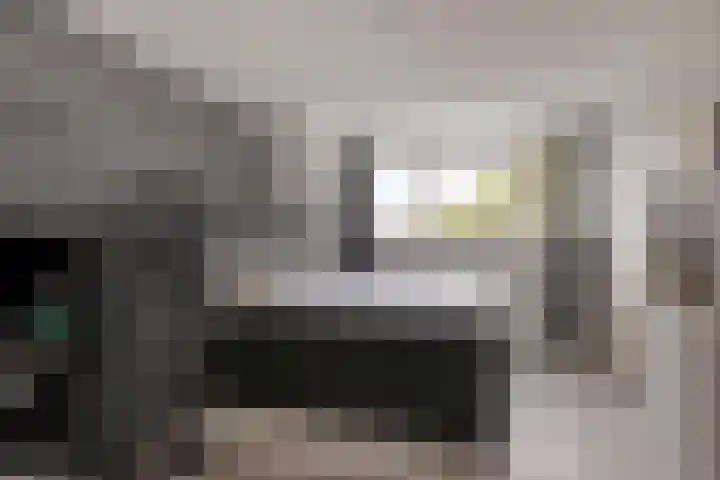 Nomadenkreek 16 Spijkenisse thumbnail 28
