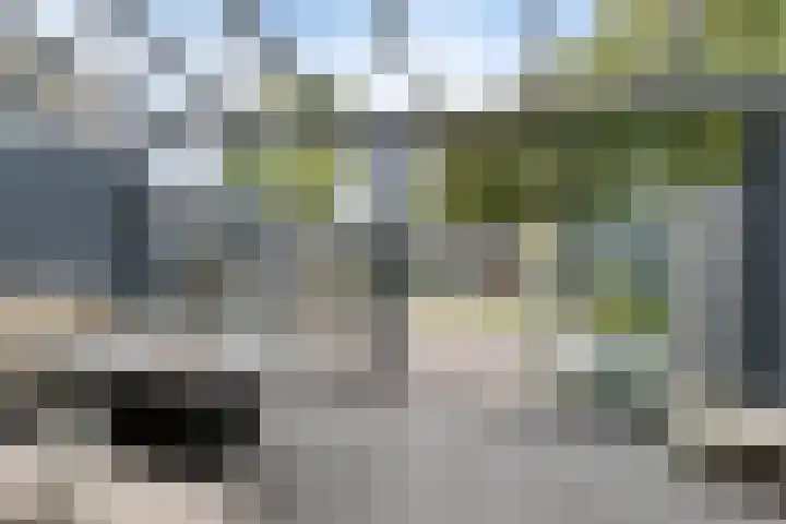 Nomadenkreek 16 Spijkenisse thumbnail 31