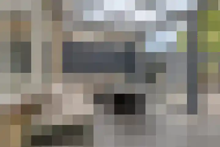Nomadenkreek 16 Spijkenisse thumbnail 33