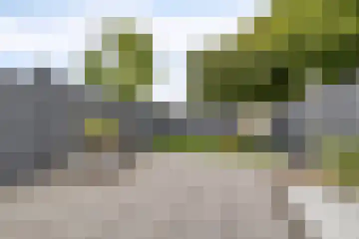 Nomadenkreek 16 Spijkenisse thumbnail 35