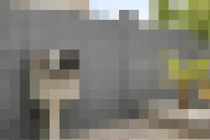 Nomadenkreek 16 Spijkenisse thumbnail 36