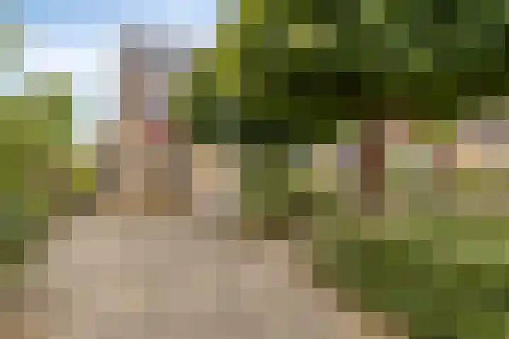 Nomadenkreek 16 Spijkenisse thumbnail 37