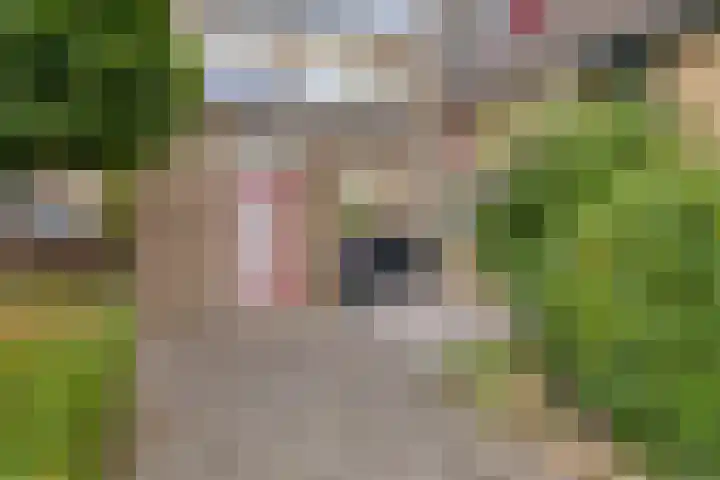 Nomadenkreek 16 Spijkenisse thumbnail 38
