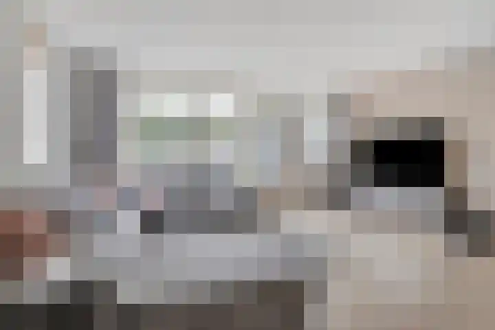 Nomadenkreek 16 Spijkenisse thumbnail 5
