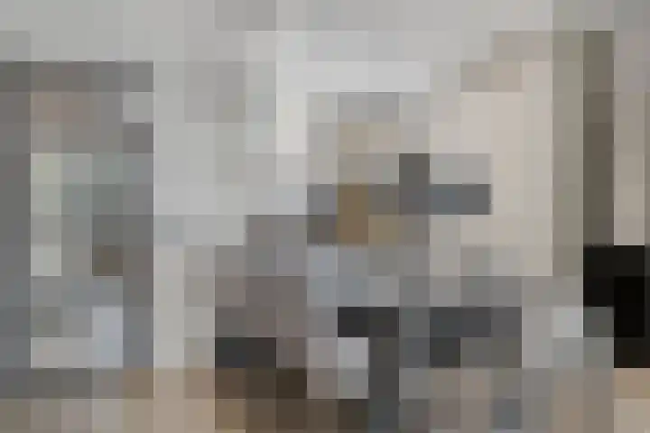 Nomadenkreek 16 Spijkenisse thumbnail 9