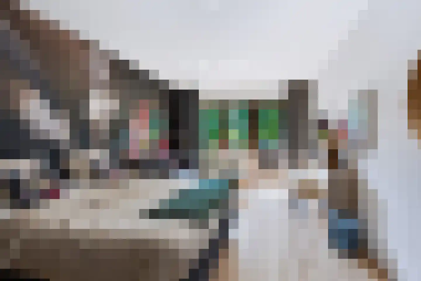 Nomdenweg 2 Ter Apel thumbnail 34