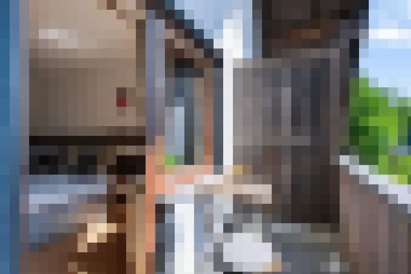Nomdenweg 2 Ter Apel thumbnail 39