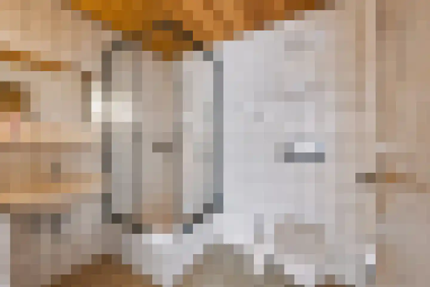 Nomdenweg 2 Ter Apel thumbnail 43