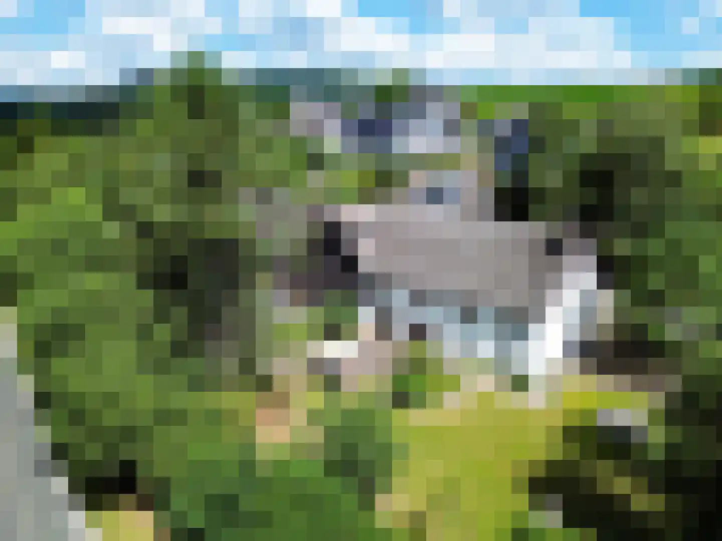 Nomdenweg 2 Ter Apel thumbnail 70