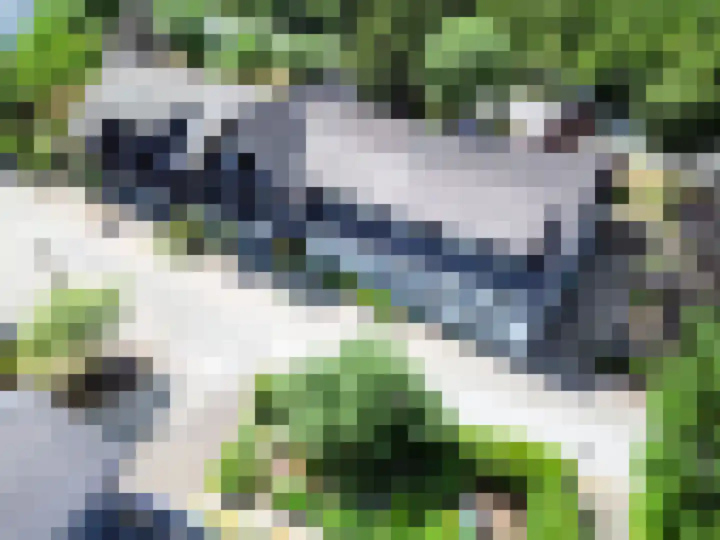 Nomdenweg 2 Ter Apel thumbnail 72