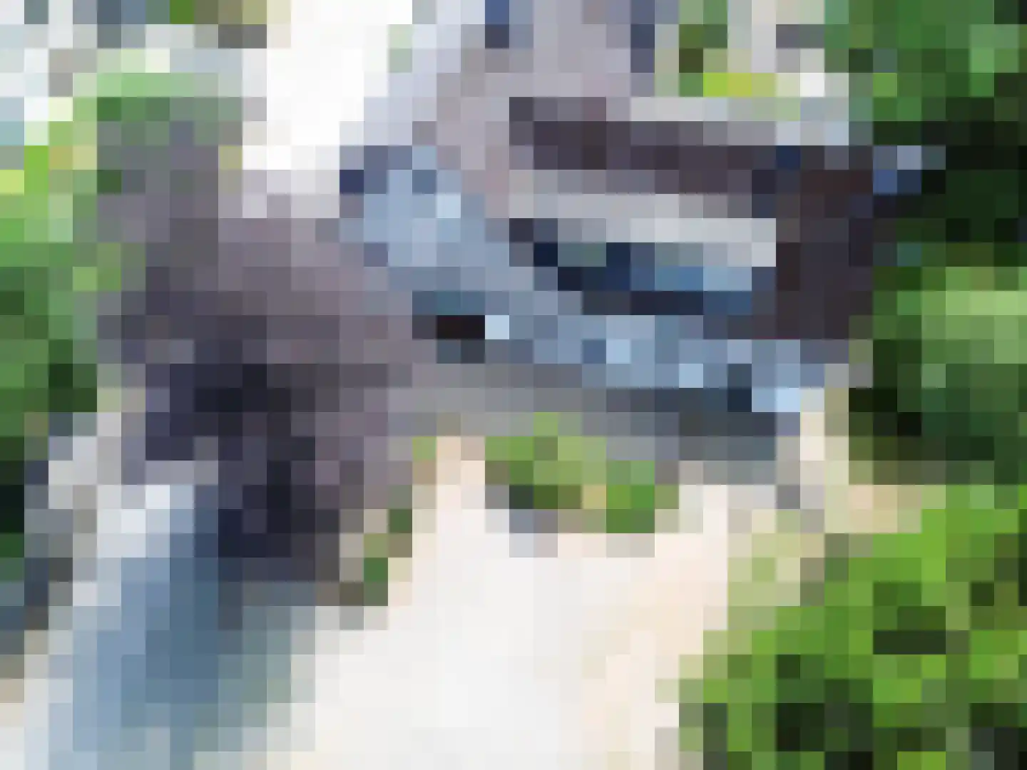 Nomdenweg 2 Ter Apel thumbnail 73