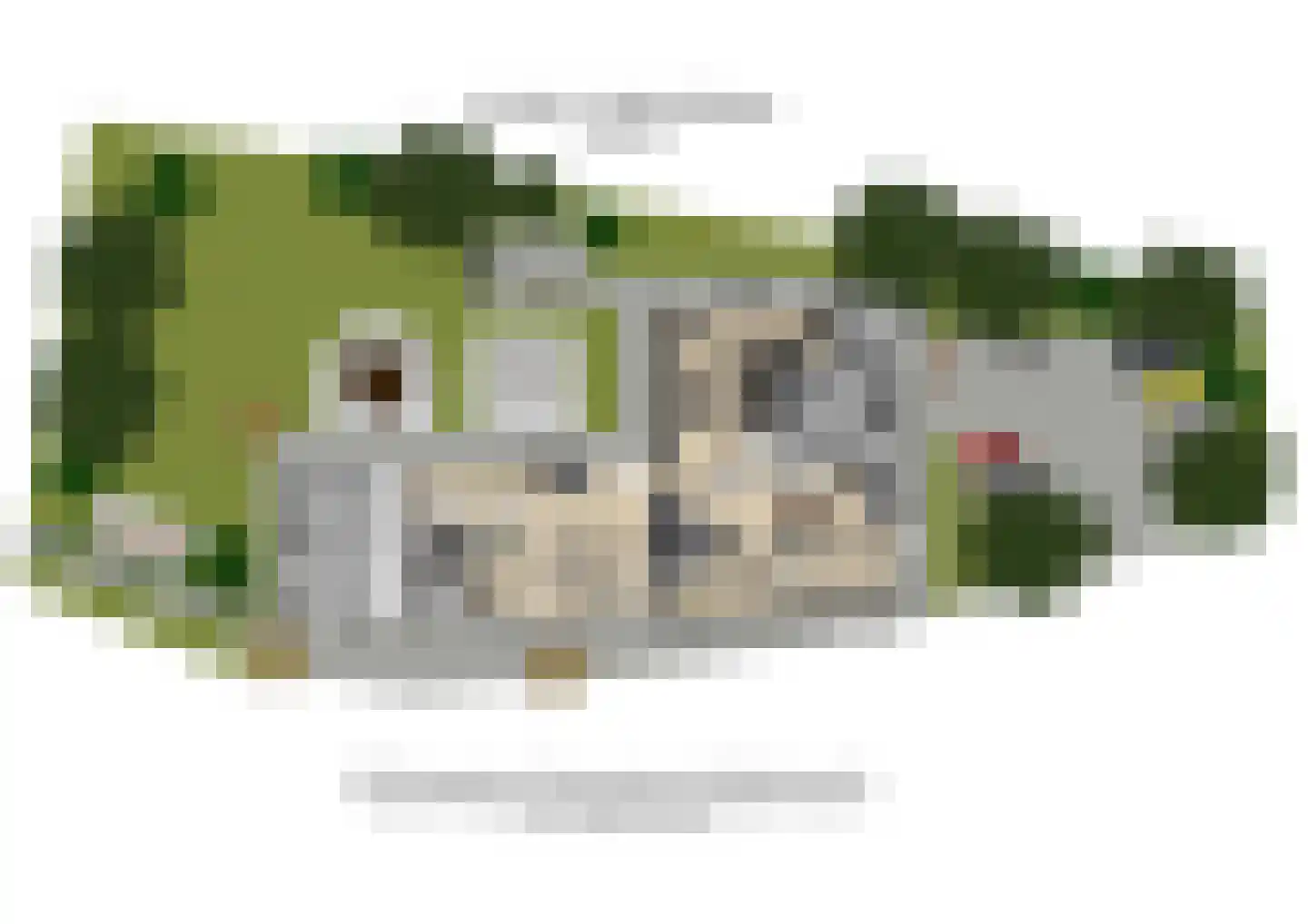 Nomdenweg 2 Ter Apel thumbnail 87