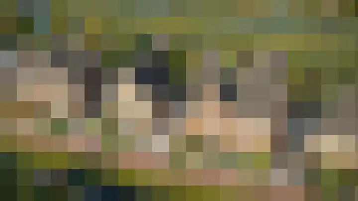 Nommerhout 31 Boskoop thumbnail 4