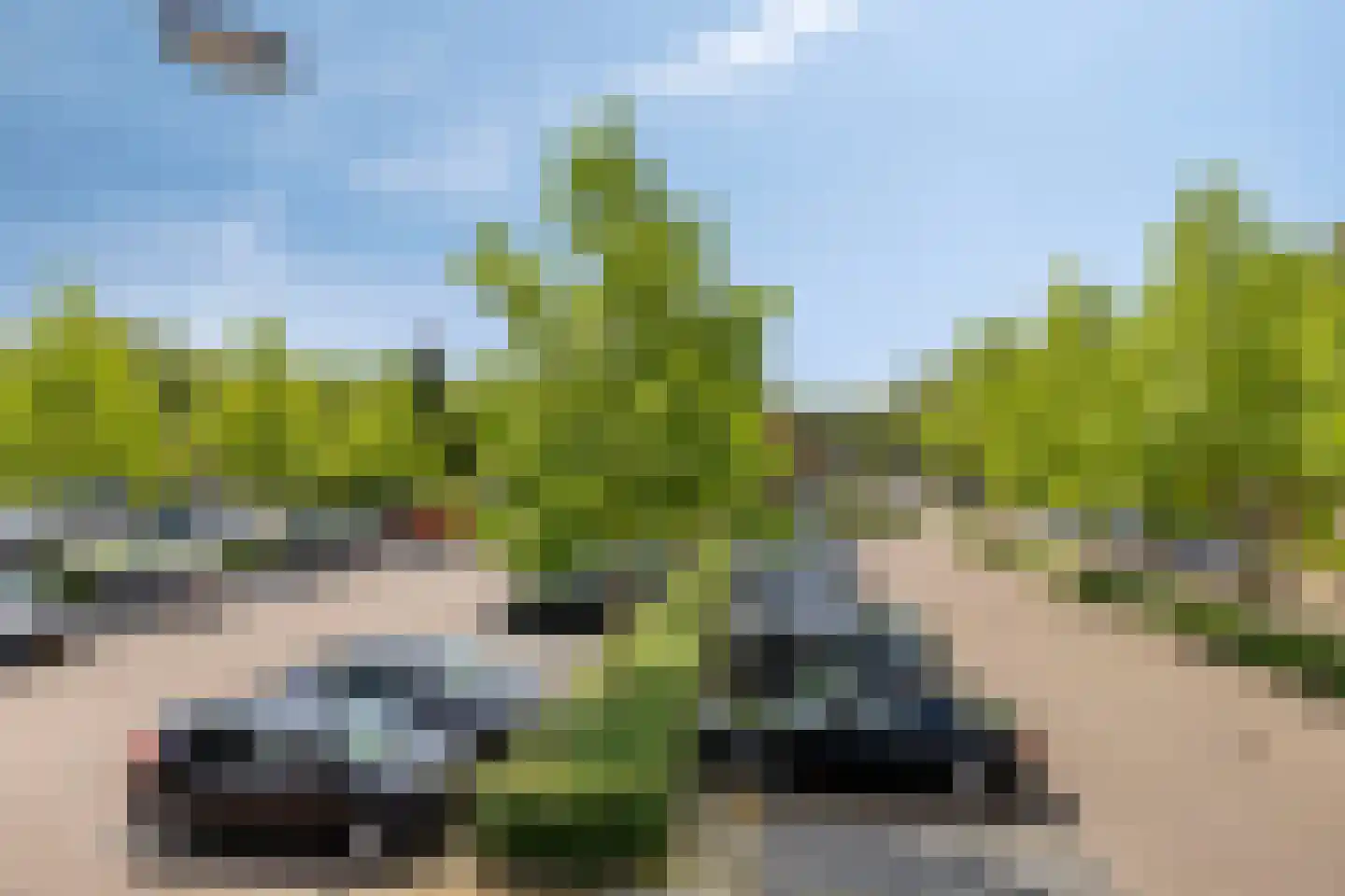 Nonnekespad 87 Valkenswaard thumbnail 15
