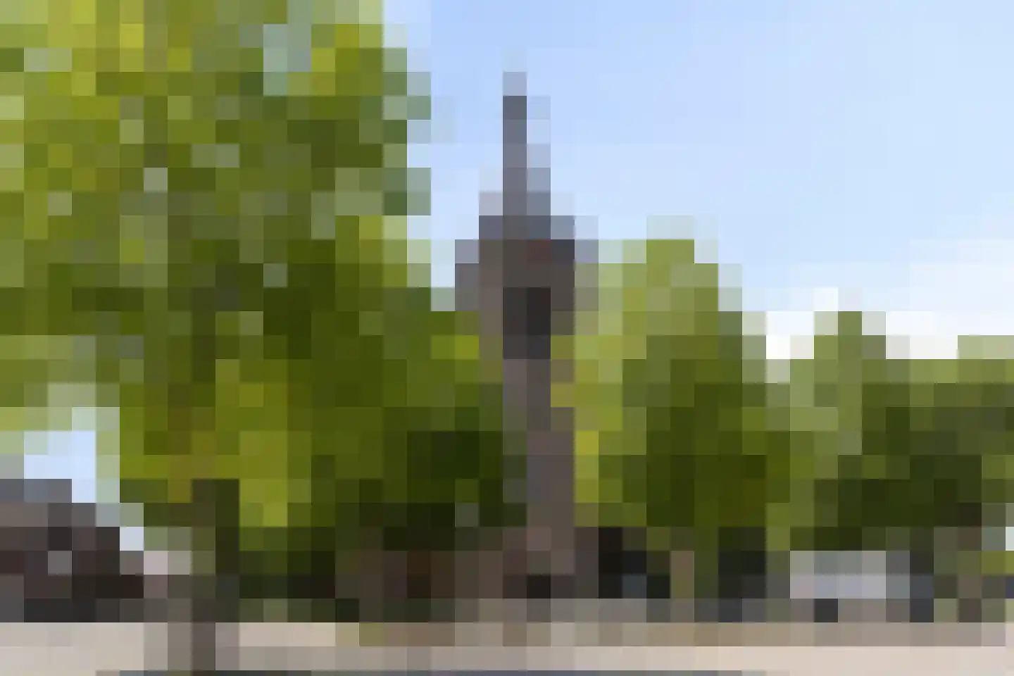 Nonnekespad 87 Valkenswaard thumbnail 32