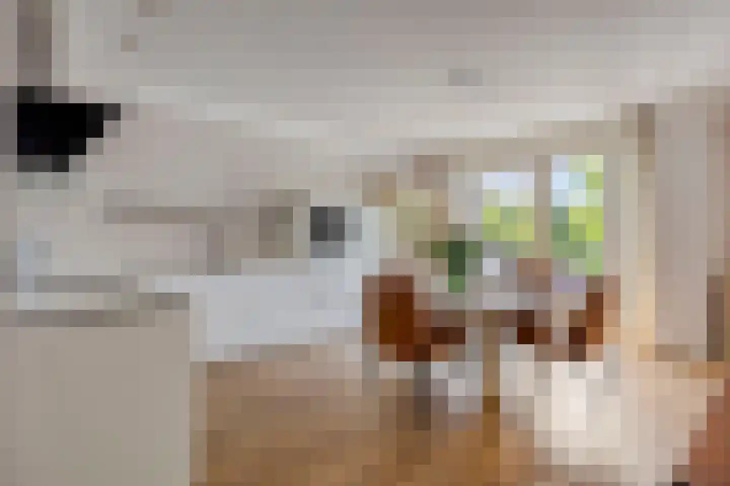 Nonnekespad 87 Valkenswaard thumbnail 6