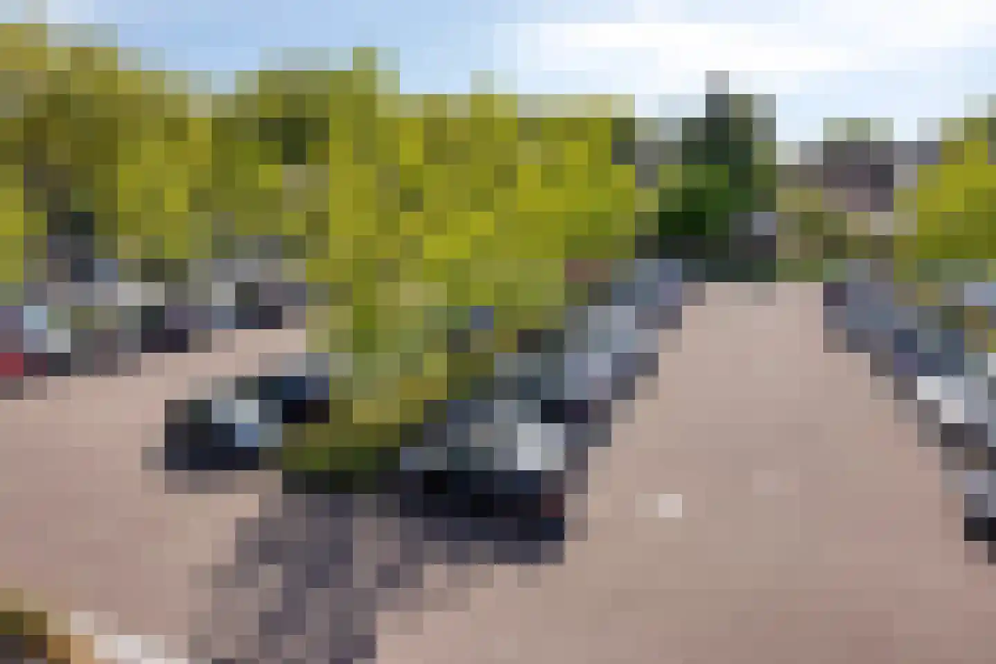 Nonnekespad 99 Valkenswaard thumbnail 29
