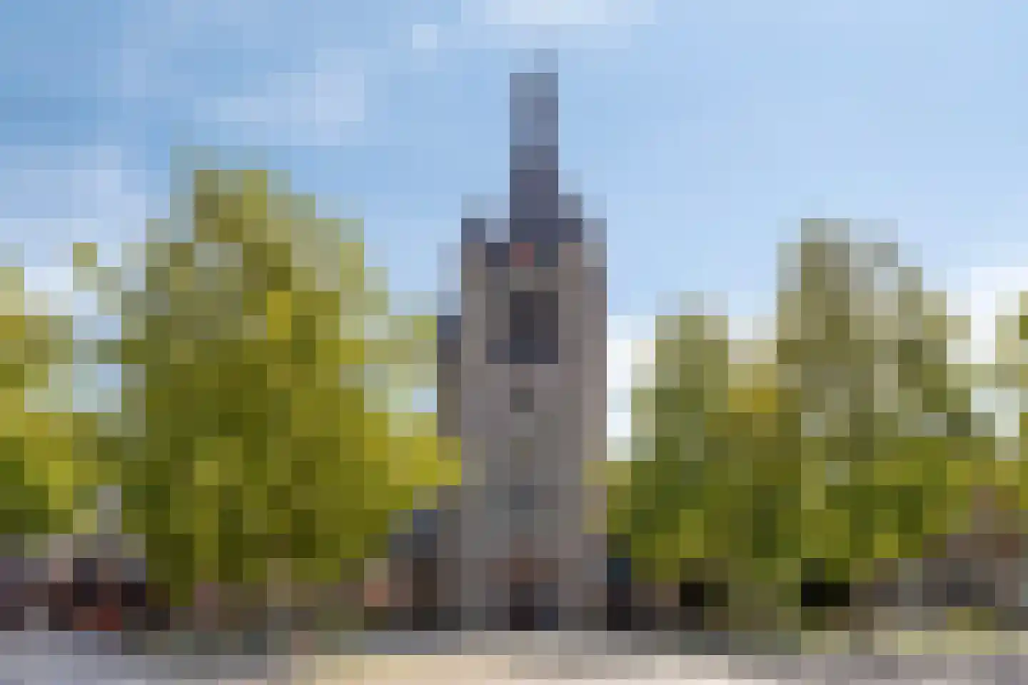 Nonnekespad 99 Valkenswaard thumbnail 48