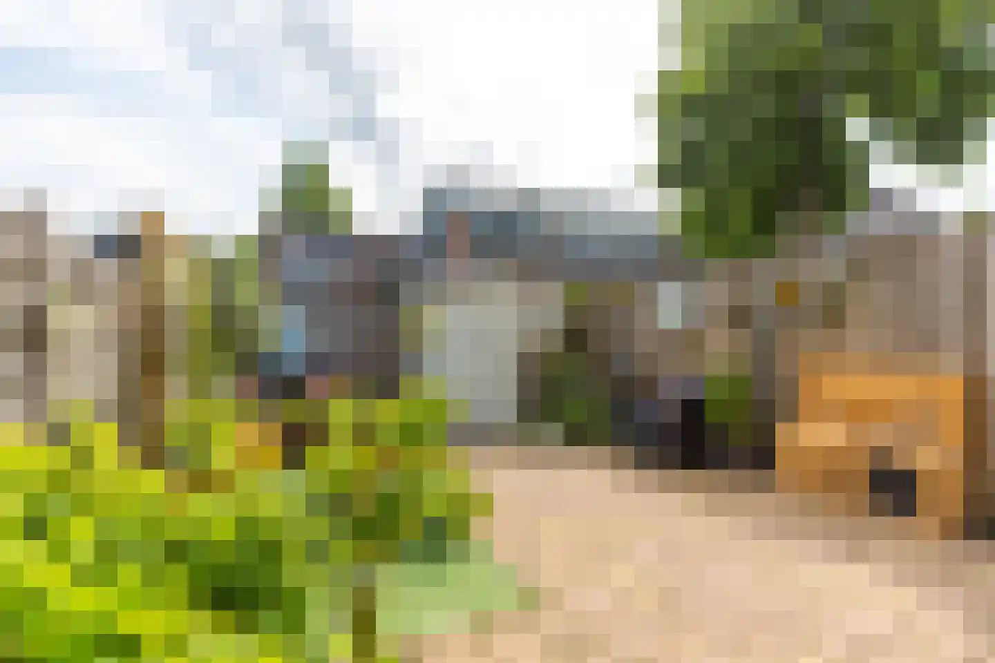 Nonnenakker 7 Weesp thumbnail 25
