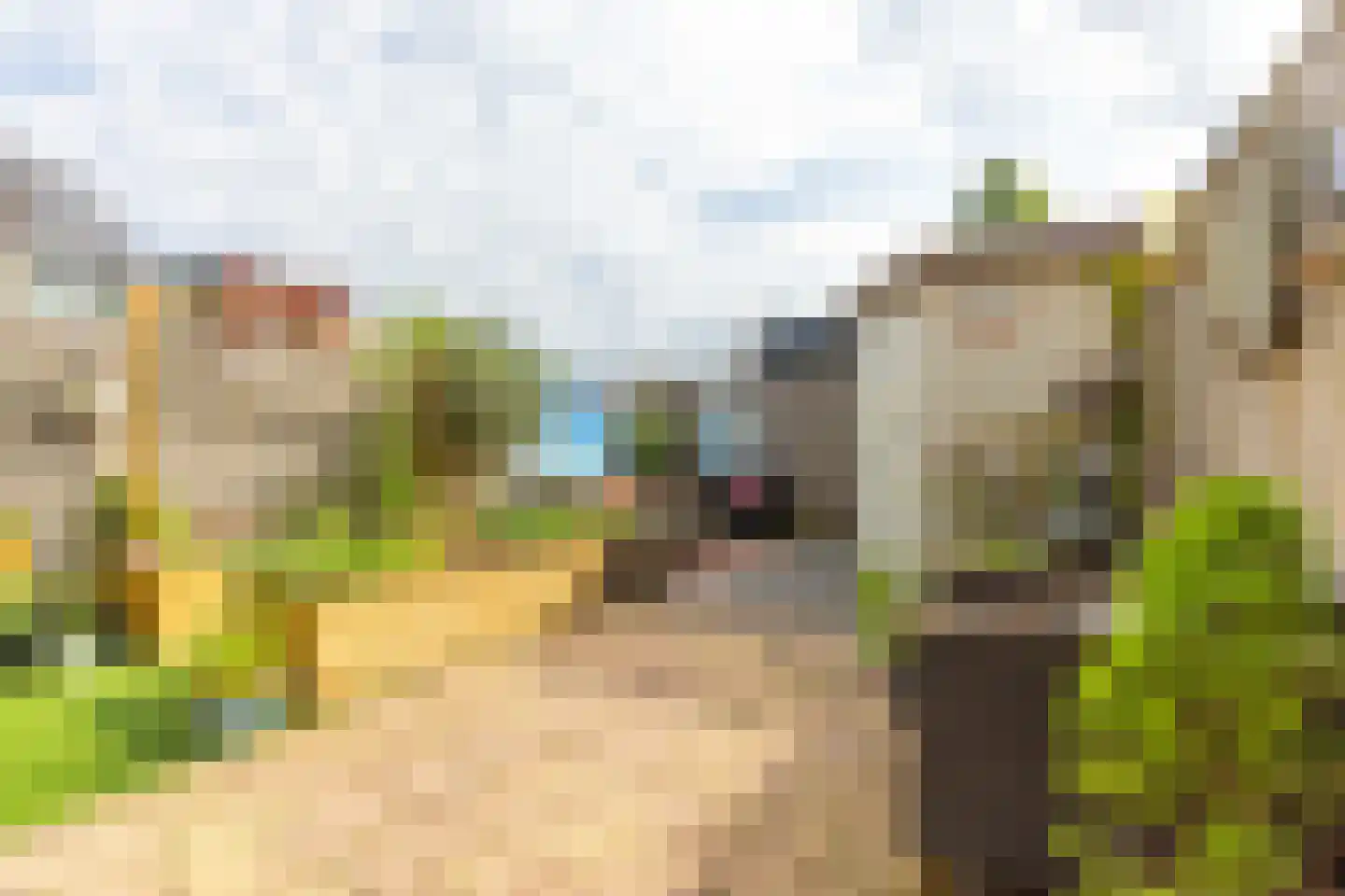 Nonnenakker 7 Weesp thumbnail 26