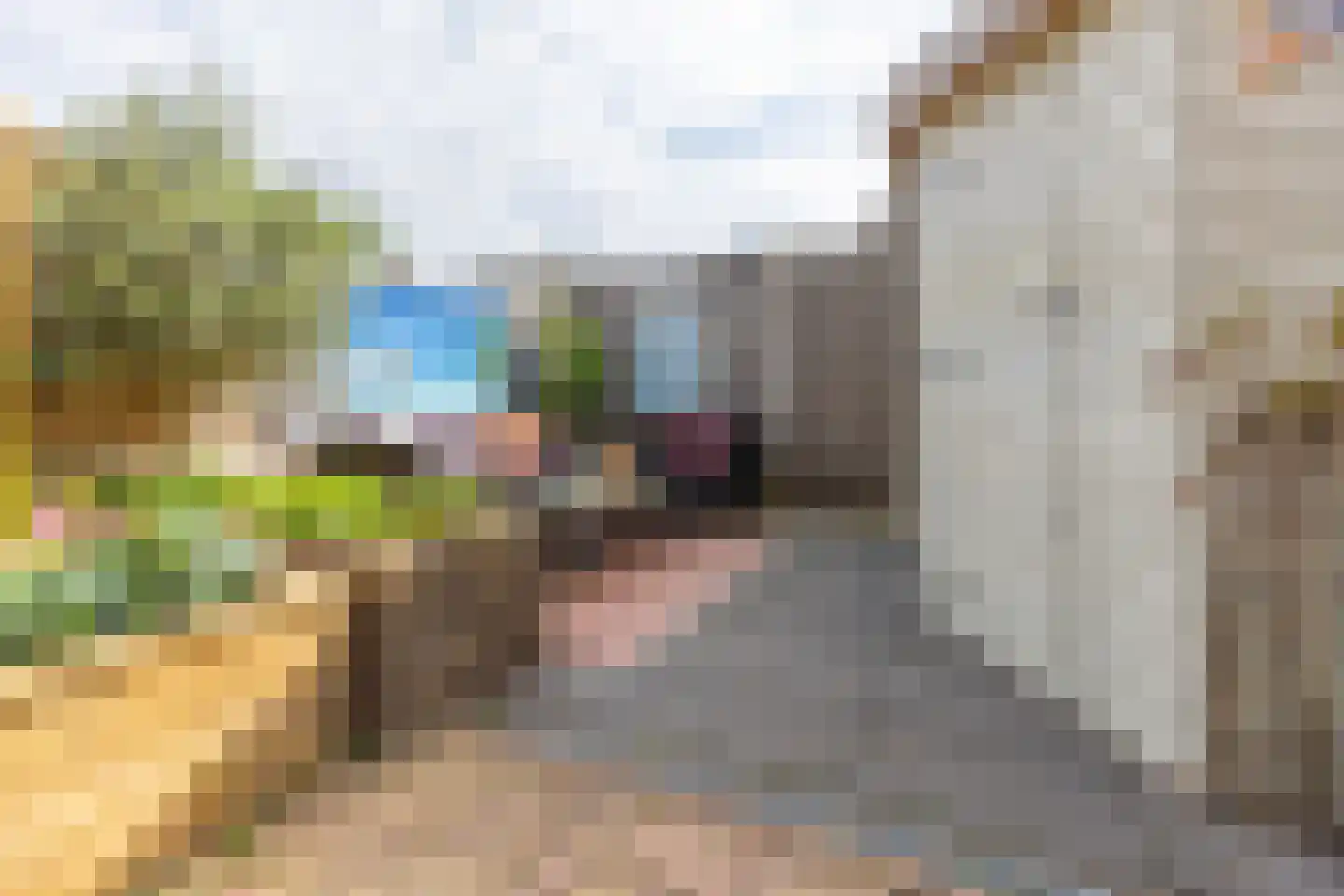 Nonnenakker 7 Weesp thumbnail 27