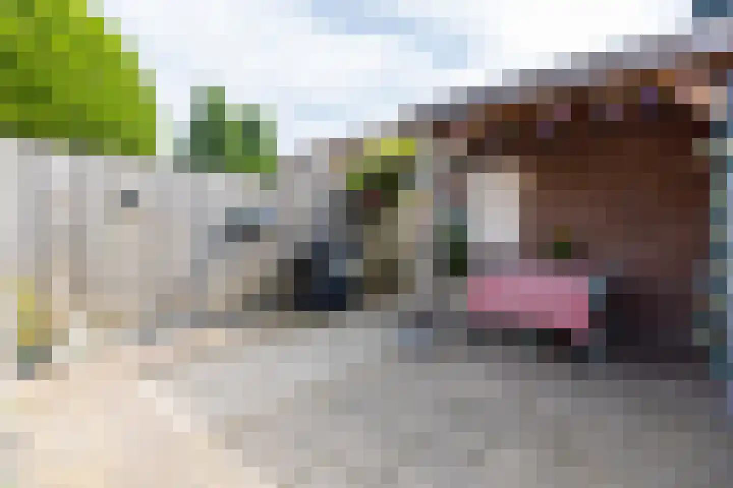 Nonnenakker 7 Weesp thumbnail 29