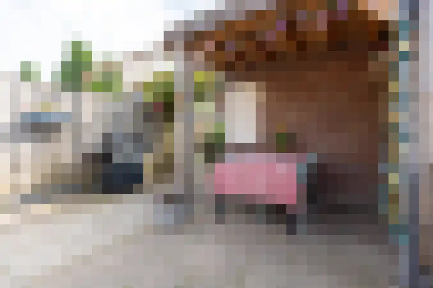 Nonnenakker 7 Weesp thumbnail 30