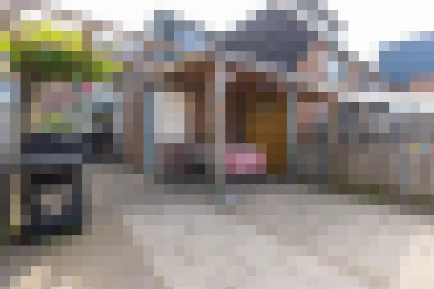 Nonnenakker 7 Weesp thumbnail 4