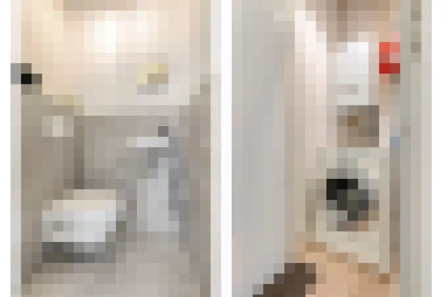 Nonnengang 20 Gemert thumbnail 12