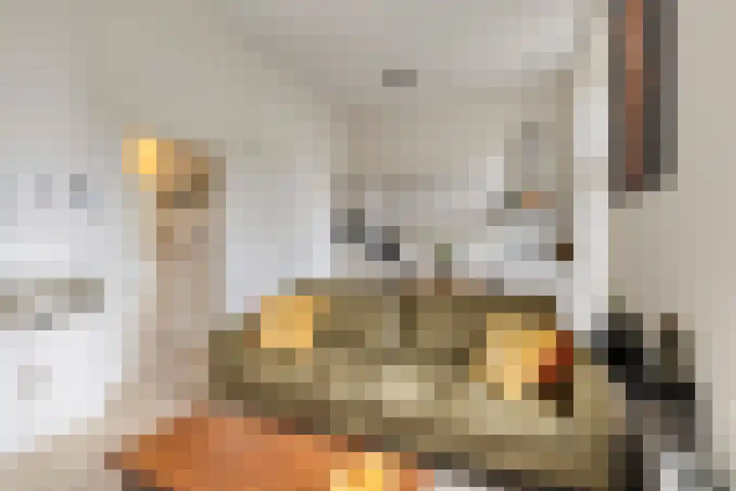 Nonnengang 20 Gemert thumbnail 13