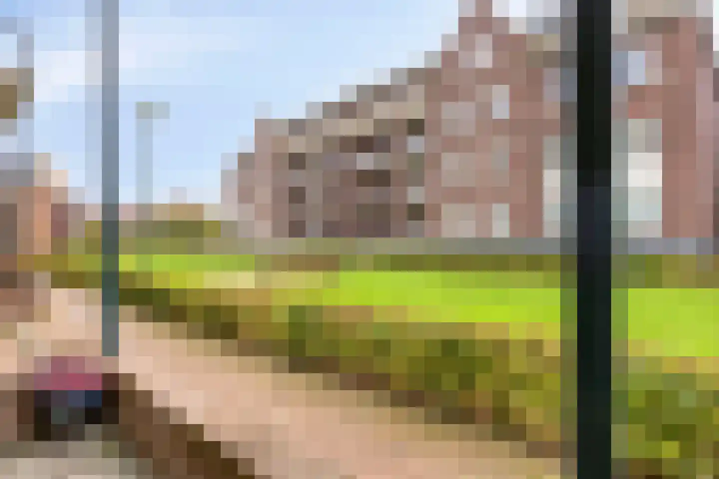 Nonnengang 20 Gemert thumbnail 29