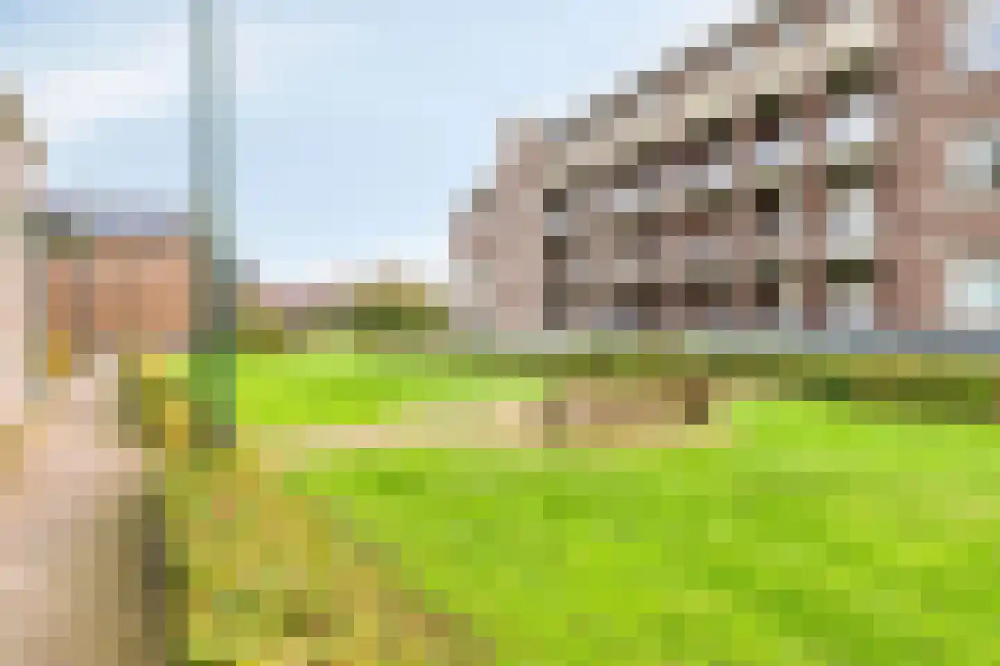 Nonnengang 20 Gemert thumbnail 30