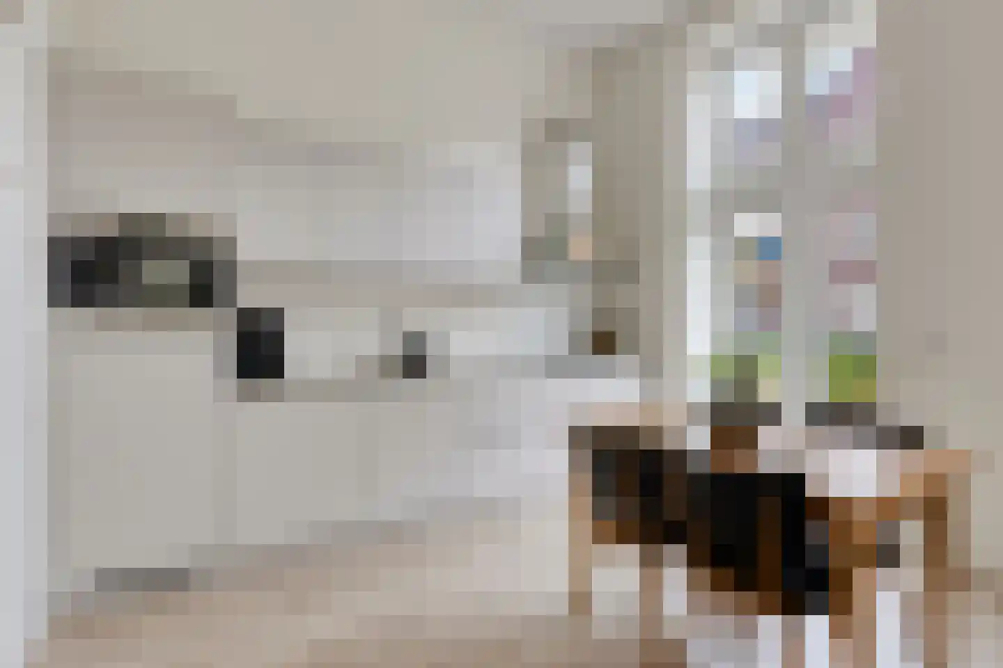 Nonnengang 20 Gemert thumbnail 4