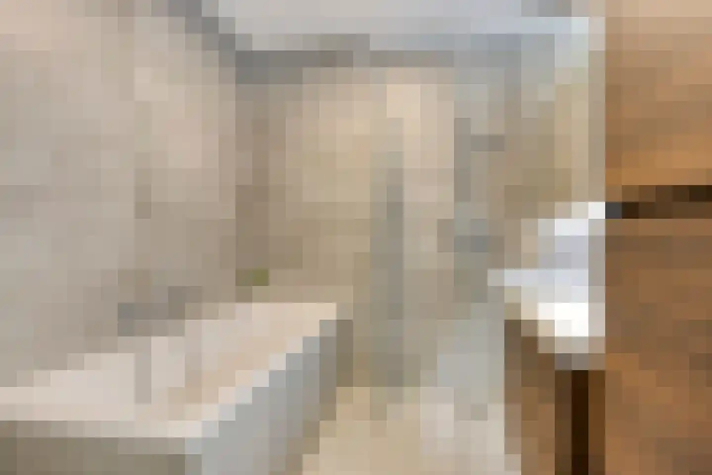 Nonnengang 20 Gemert thumbnail 5