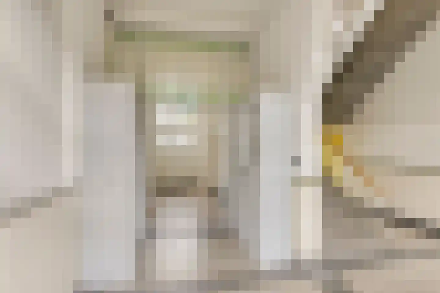 Nonnengang 20 Gemert thumbnail 9