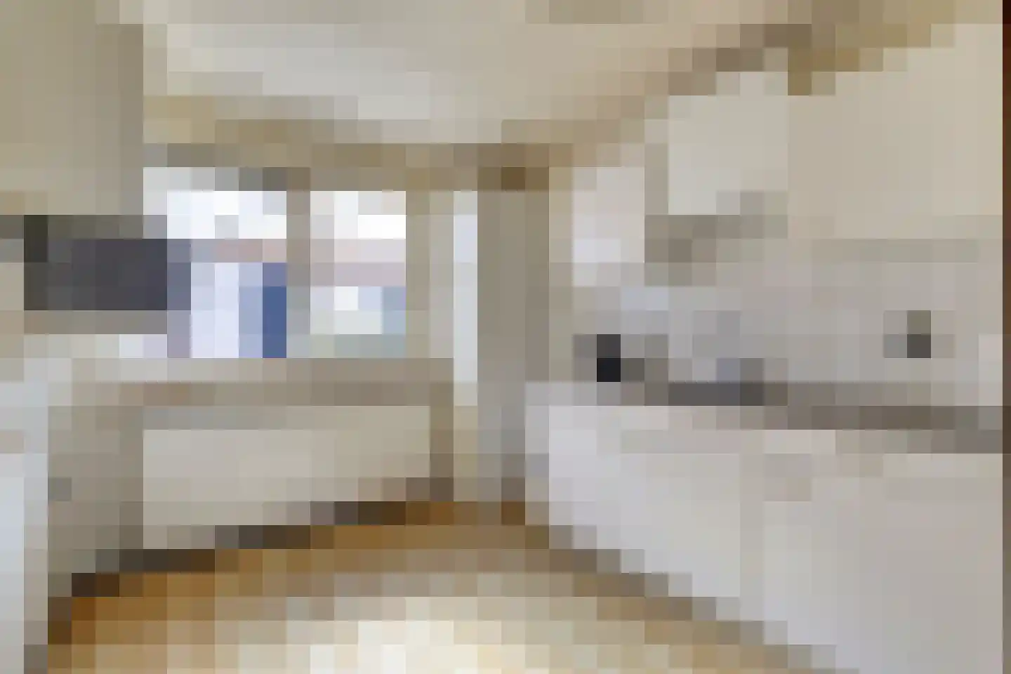 Nonnenkamp 32 Millingen aan de Rijn thumbnail 14