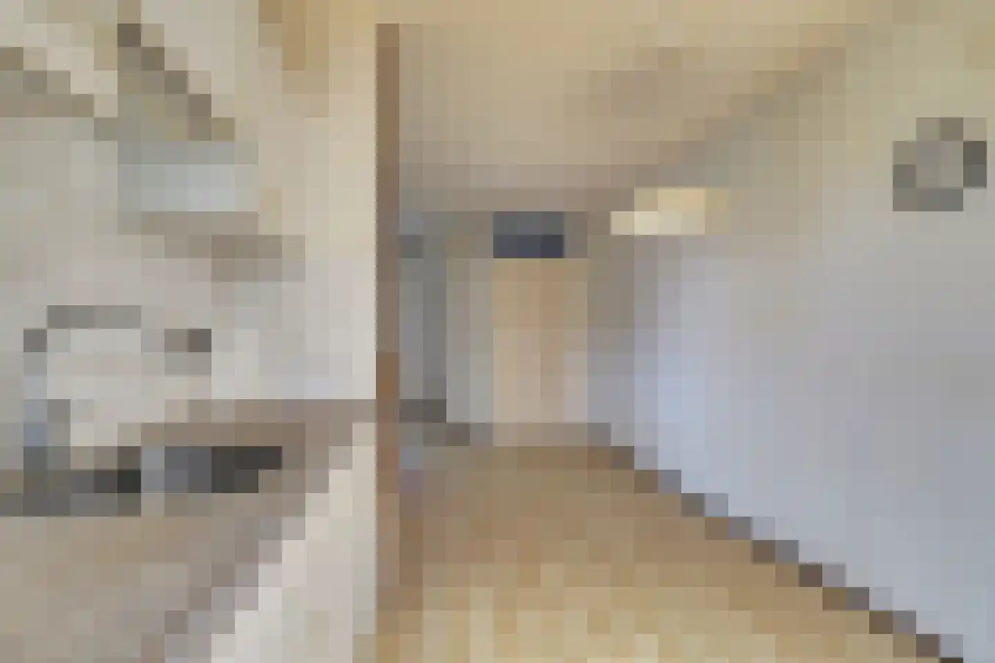 Nonnenkamp 32 Millingen aan de Rijn thumbnail 15