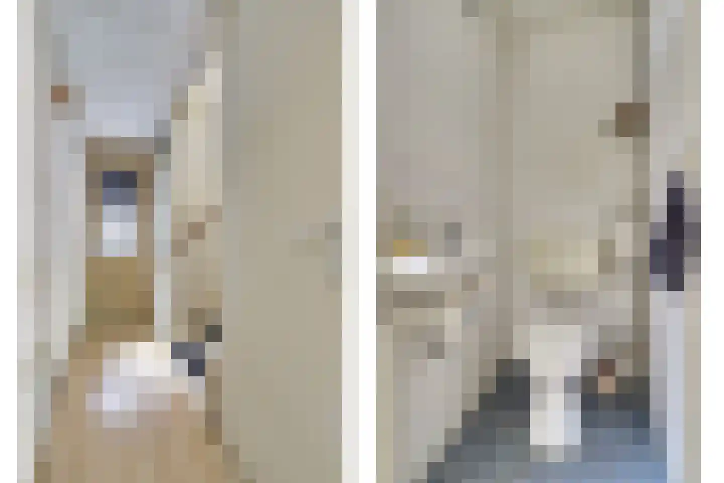 Nonnenkamp 32 Millingen aan de Rijn thumbnail 16