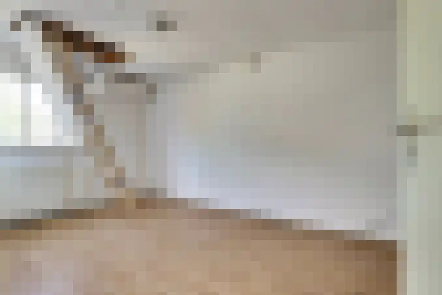 Nonnenkamp 32 Millingen aan de Rijn thumbnail 19