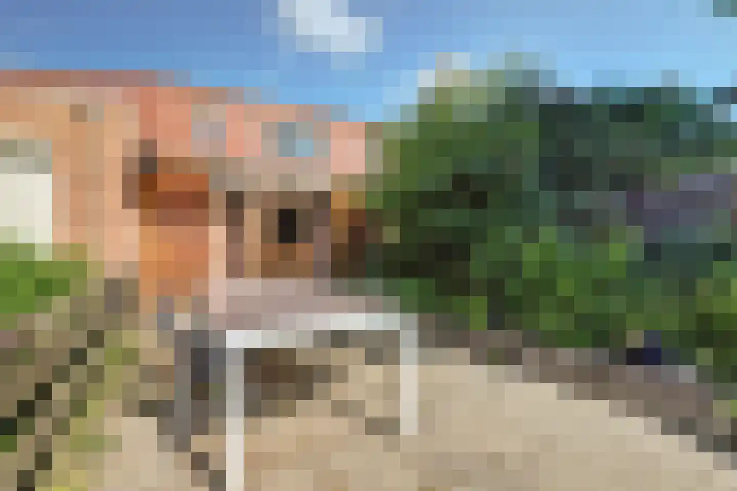 Nonnenkamp 32 Millingen aan de Rijn thumbnail 28
