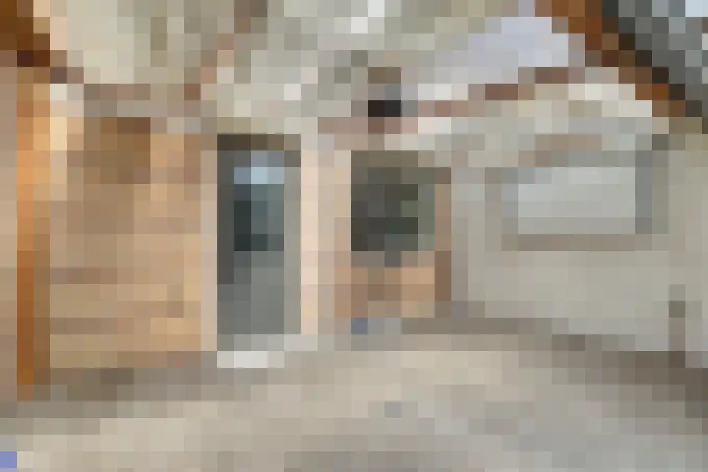 Nonnenkamp 32 Millingen aan de Rijn thumbnail 30