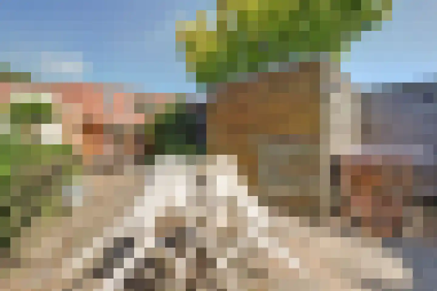 Nonnenkamp 32 Millingen aan de Rijn thumbnail 35