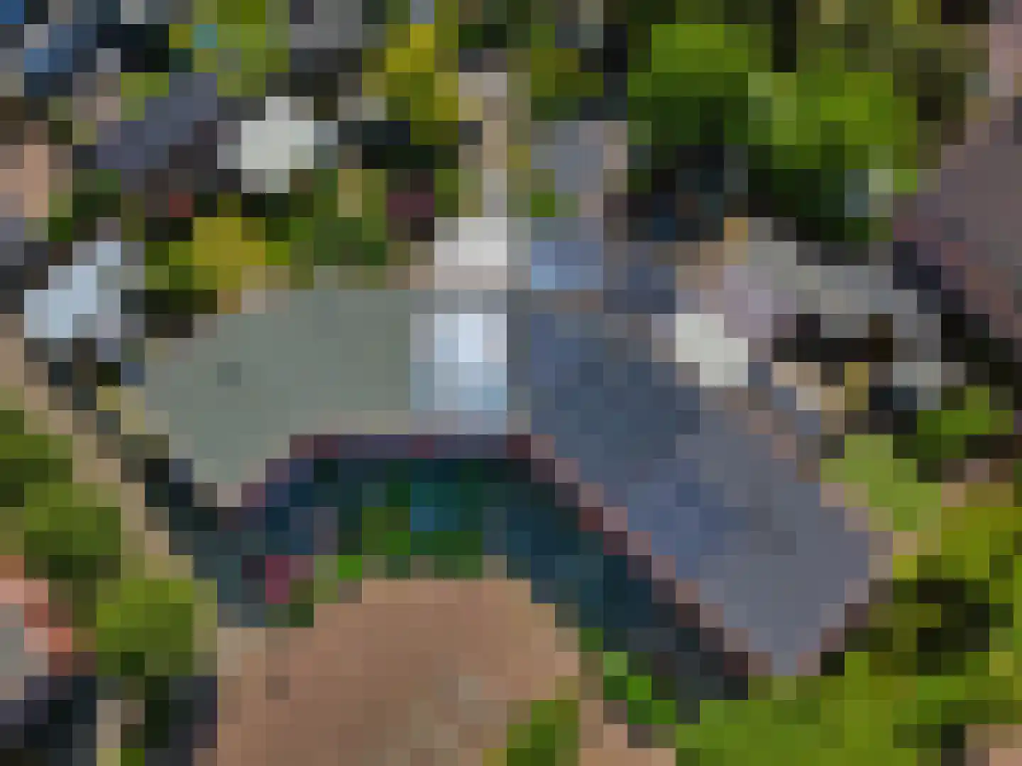Nonnenkamp 32 Millingen aan de Rijn thumbnail 5