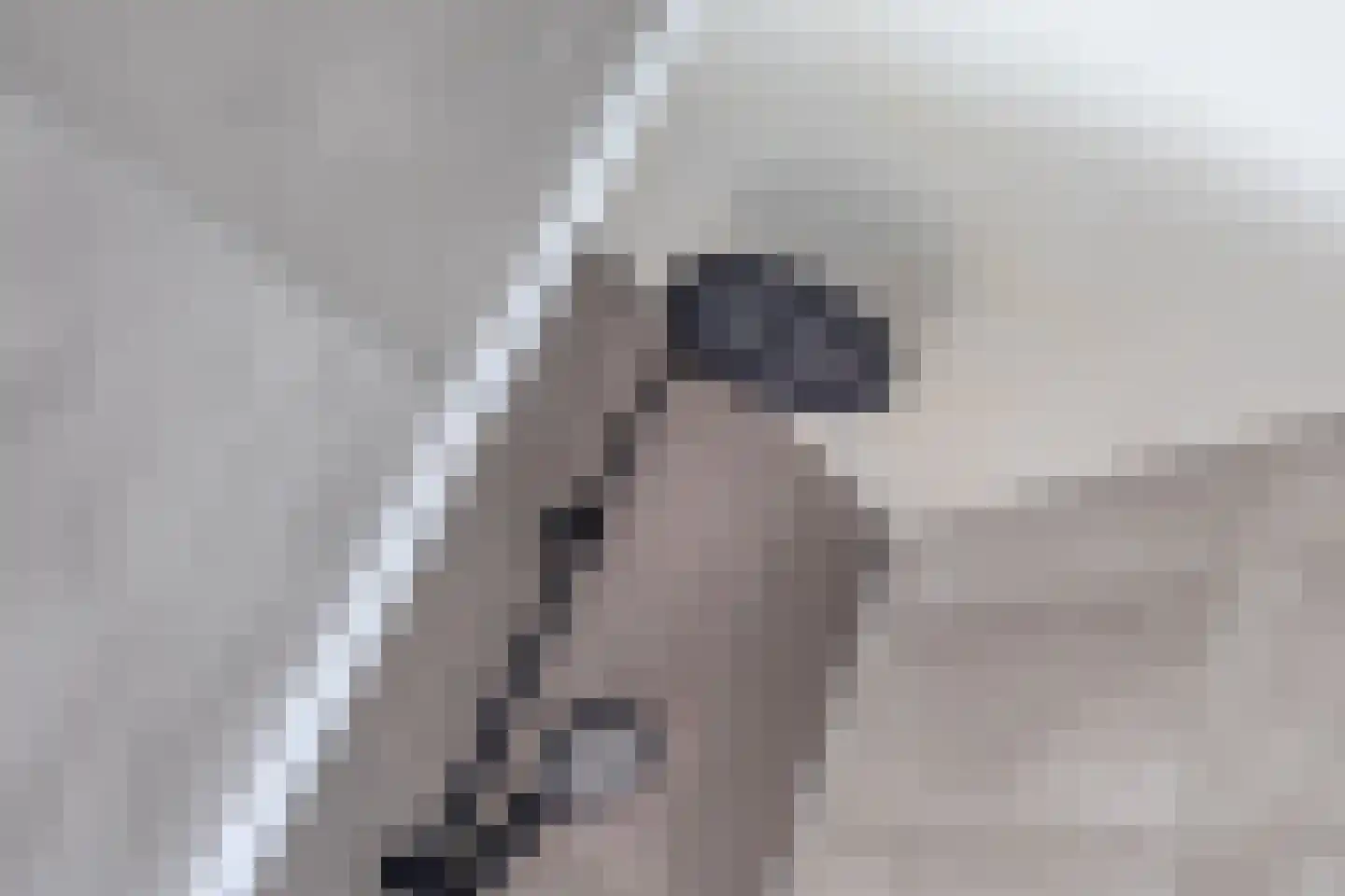 Nonnenkamp 44 Millingen aan de Rijn thumbnail 21