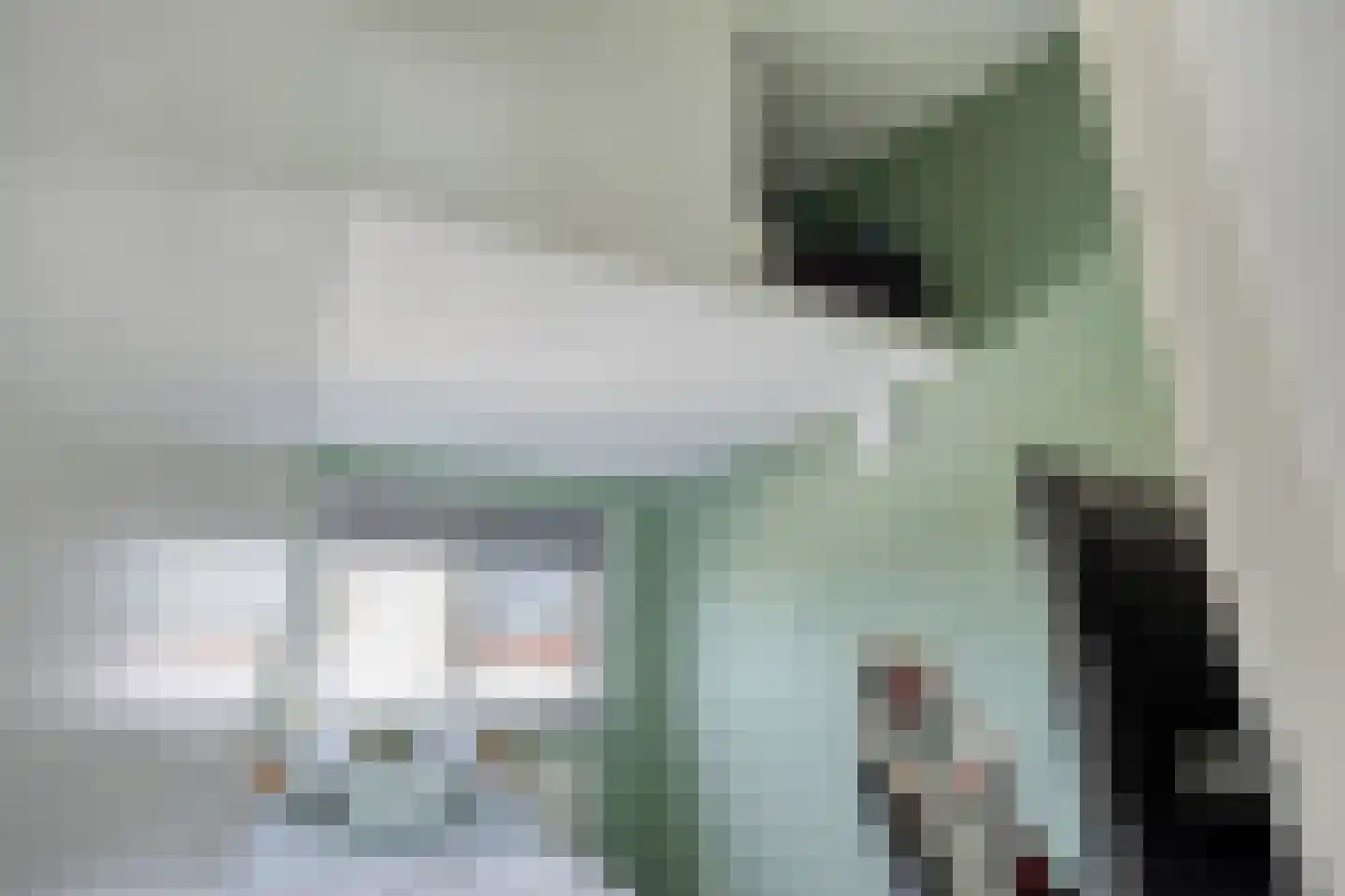 Nonnenkamp 44 Millingen aan de Rijn thumbnail 24