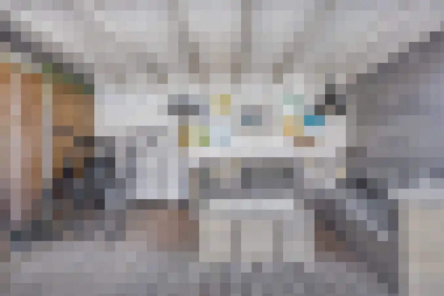 Nonnenkamp 44 Millingen aan de Rijn thumbnail 27