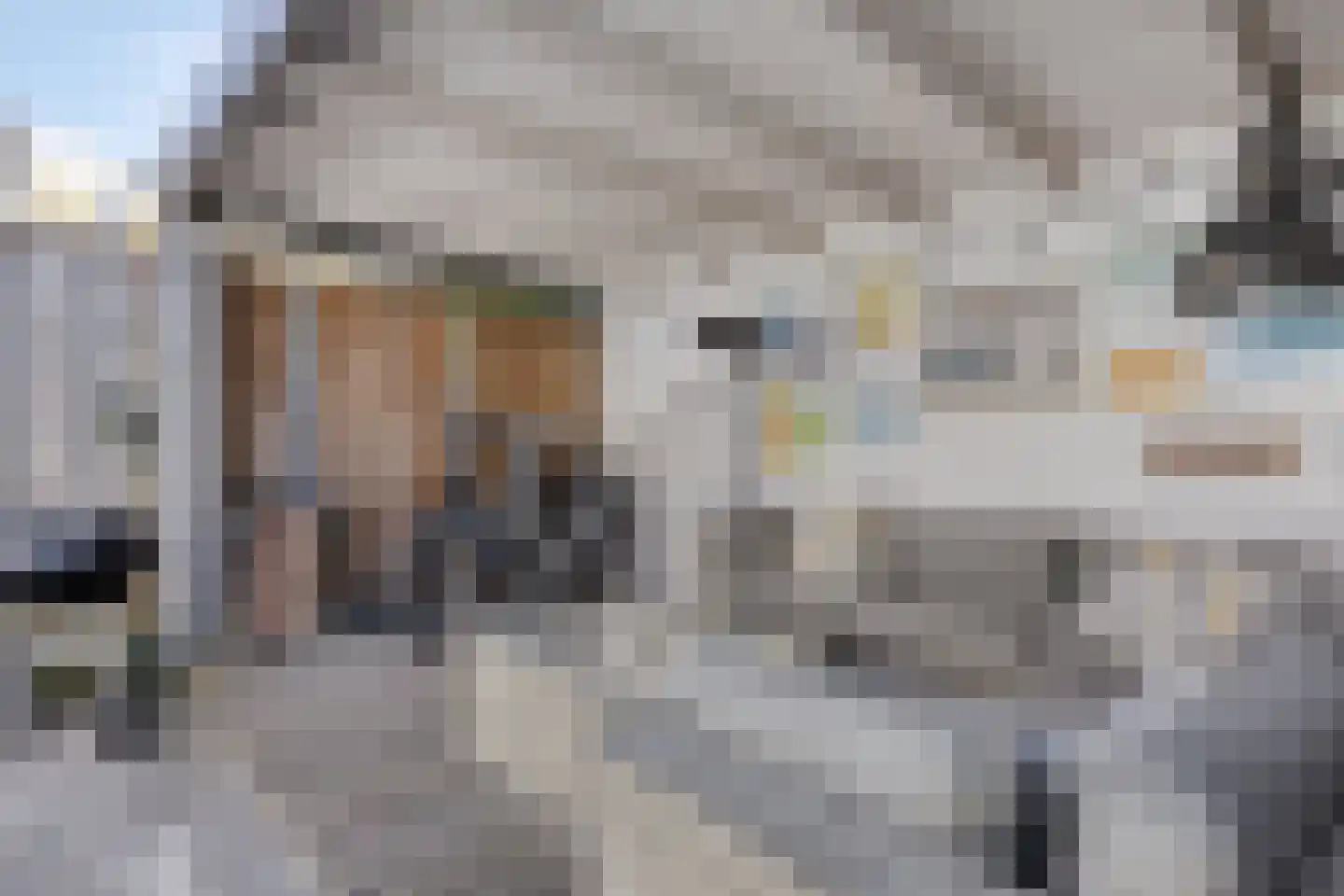 Nonnenkamp 44 Millingen aan de Rijn thumbnail 29